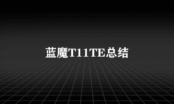 蓝魔T11TE总结
