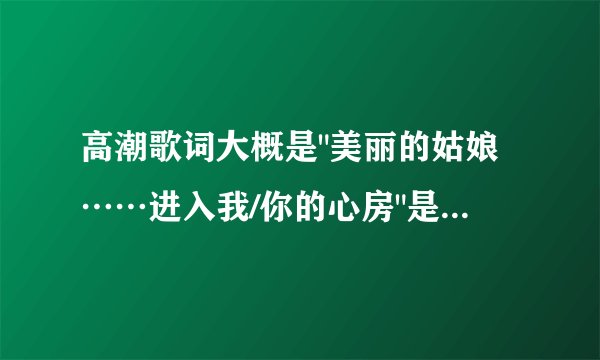 高潮歌词大概是