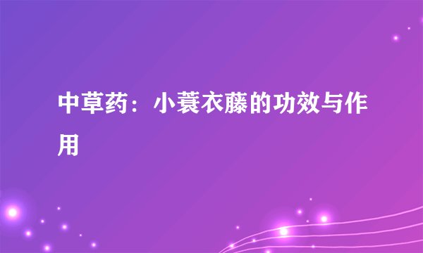 中草药：小蓑衣藤的功效与作用