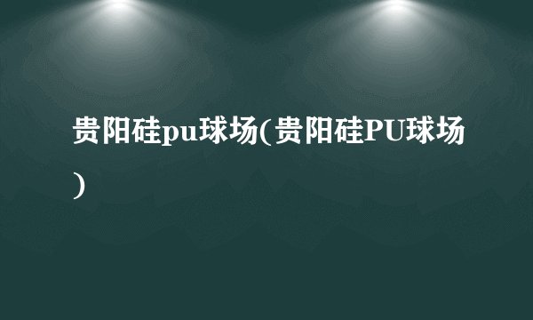 贵阳硅pu球场(贵阳硅PU球场)