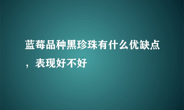 蓝莓品种黑珍珠有什么优缺点，表现好不好
