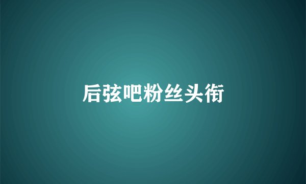 后弦吧粉丝头衔