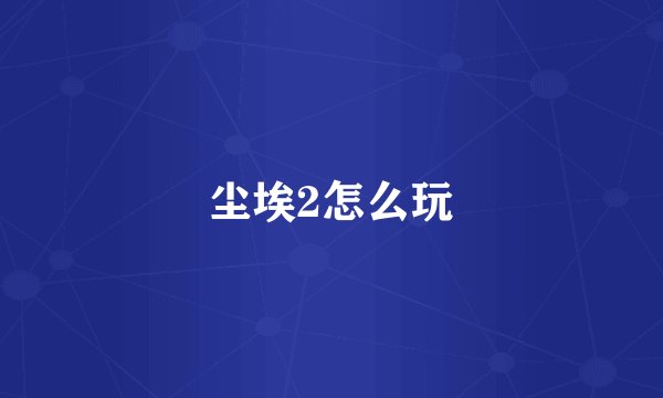 尘埃2怎么玩