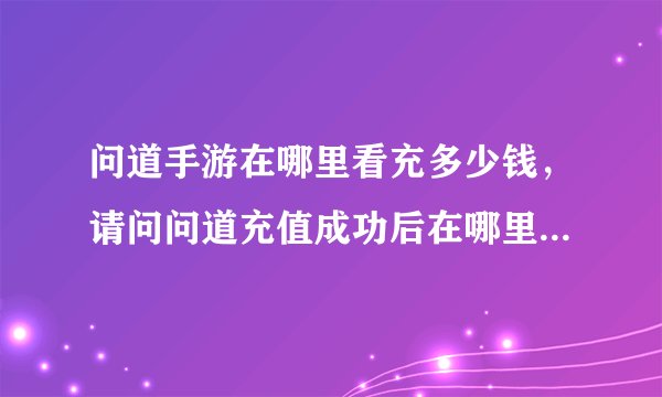 问道手游在哪里看充多少钱，请问问道充值成功后在哪里查询我给人家充了10个为什么显示