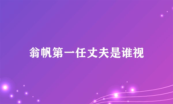 翁帆第一任丈夫是谁视