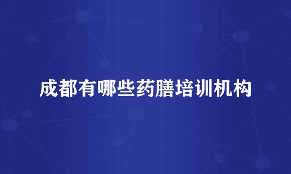 成都有哪些药膳培训机构