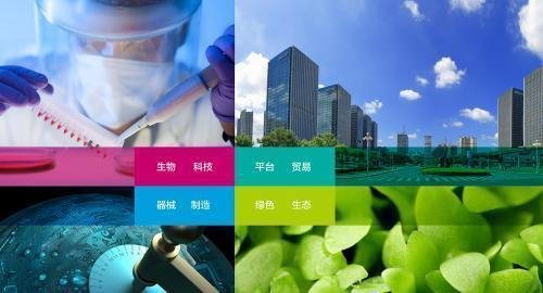 马云预言成真: 2020年最赚钱生意是这个行业, 你发现蕴藏商机了吗