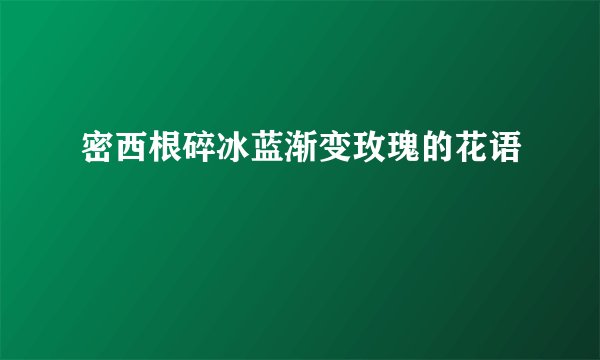 密西根碎冰蓝渐变玫瑰的花语