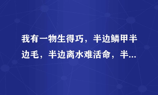 我有一物生得巧，半边鳞甲半边毛，半边离水难活命，半边入手命难保。打一字