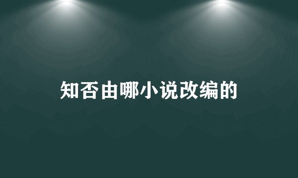 知否由哪小说改编的