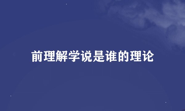 前理解学说是谁的理论