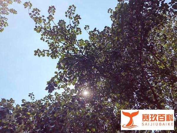 观影：《人生路不熟》