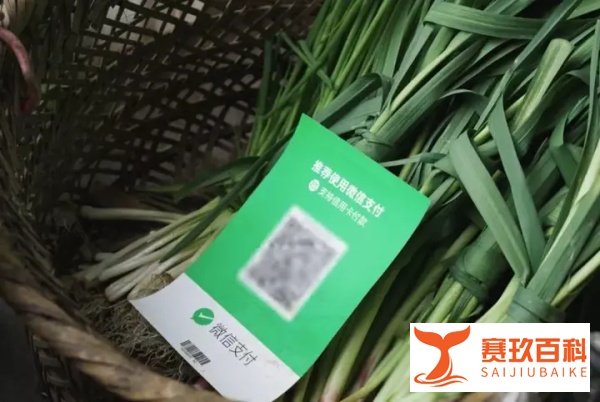 明年3月1日起，支付宝微信个人收款码不能用于经营，商业码无影响，三大利好！