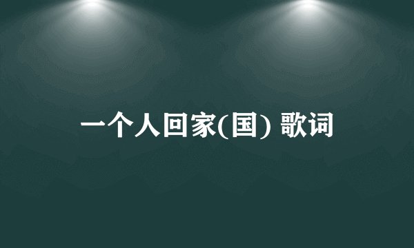 一个人回家(国) 歌词