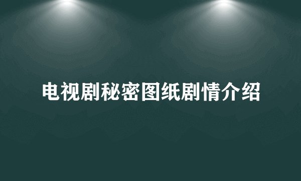 电视剧秘密图纸剧情介绍