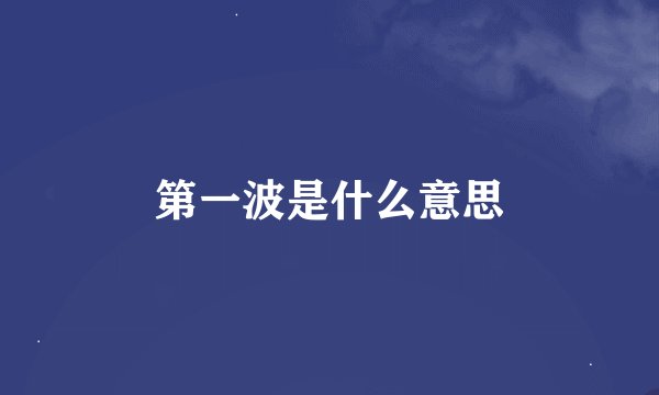 第一波是什么意思