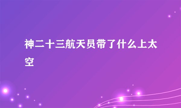 神二十三航天员带了什么上太空