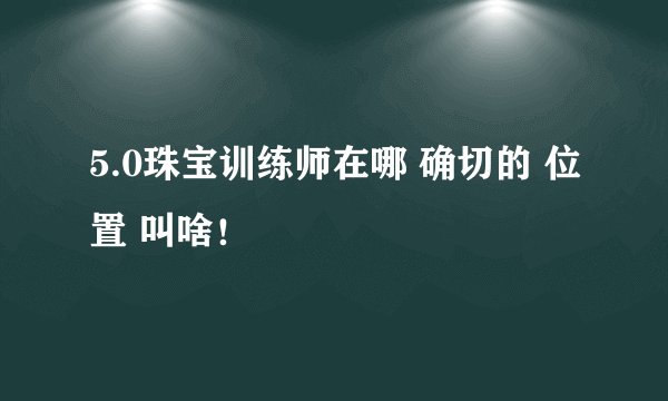 5.0珠宝训练师在哪 确切的 位置 叫啥！
