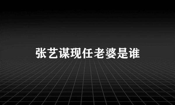 张艺谋现任老婆是谁
