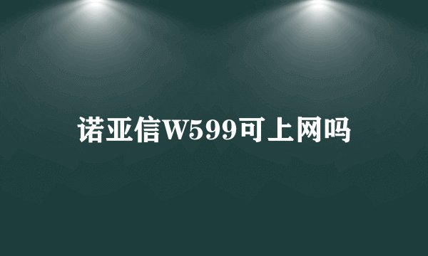 诺亚信W599可上网吗