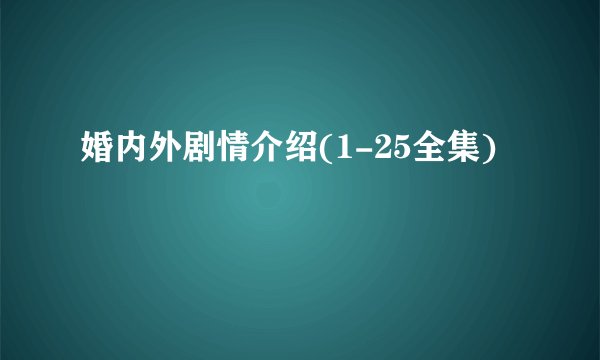 婚内外剧情介绍(1-25全集)
