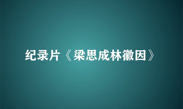 纪录片《梁思成林徽因》