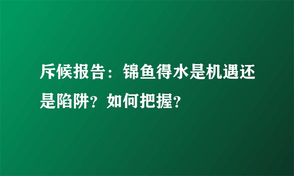 斥候报告：锦鱼得水是机遇还是陷阱？如何把握？