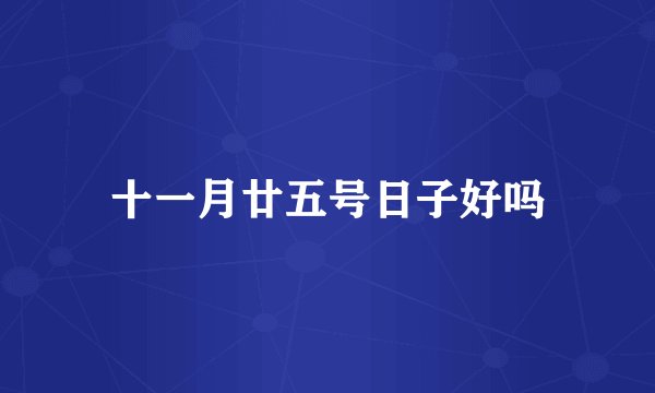 十一月廿五号日子好吗