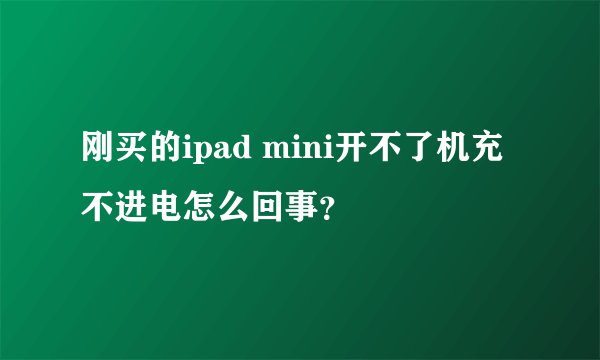 刚买的ipad mini开不了机充不进电怎么回事？