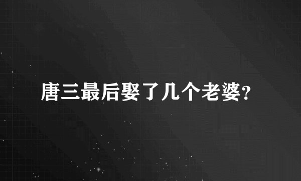唐三最后娶了几个老婆？