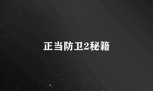 正当防卫2秘籍
