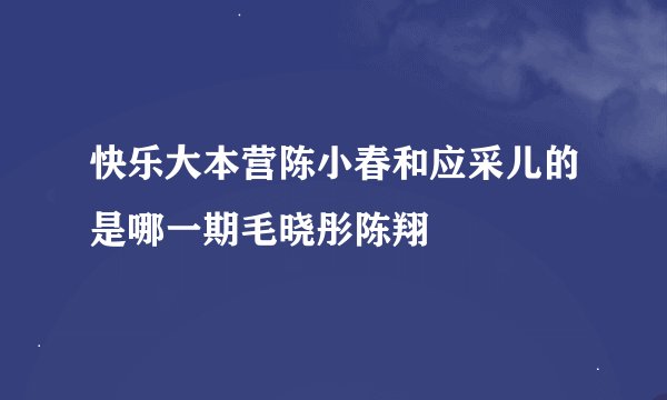 快乐大本营陈小春和应采儿的是哪一期毛晓彤陈翔