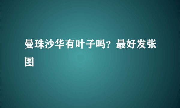 曼珠沙华有叶子吗?最好发张图