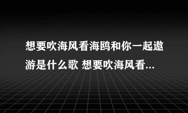 想要吹海风看海鸥和你一起遨游是什么歌 想要吹海风看海鸥和你一起遨游是哪首歌
