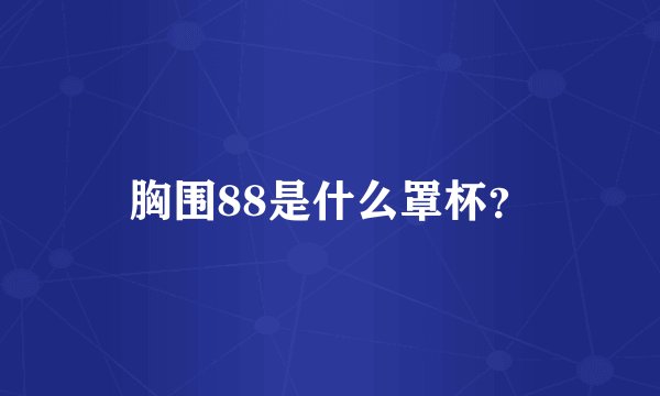 胸围88是什么罩杯？