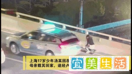 如何评价上海卢浦大桥17岁男孩跳桥自杀？