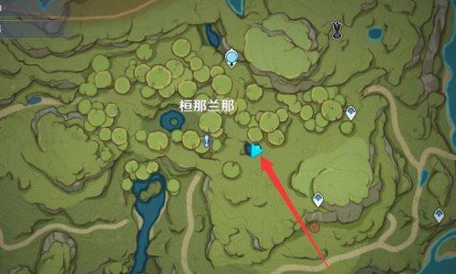 树王圣体菇购买位置