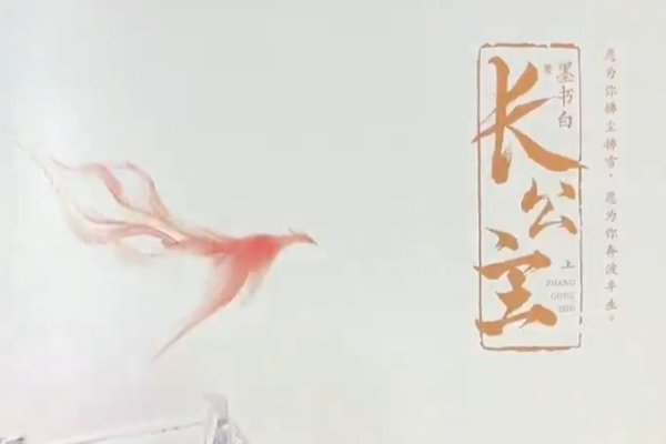 《长公主》墨书白好看吗