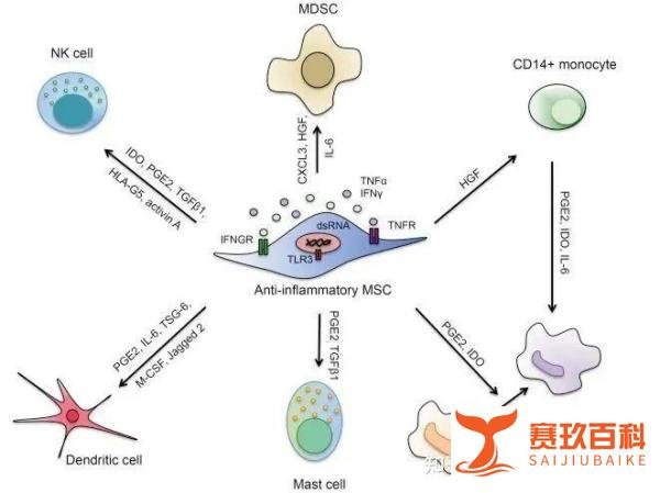 广东新冠增加1.8万例?张文宏发声:新冠已呈“阶段性波动”,免疫屏障成防控关键