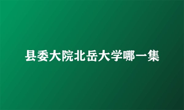 县委大院北岳大学哪一集