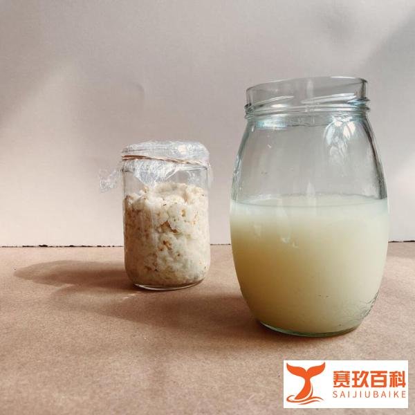 螃蟹和什么不能一起吃 – 螃蟹食物相克表