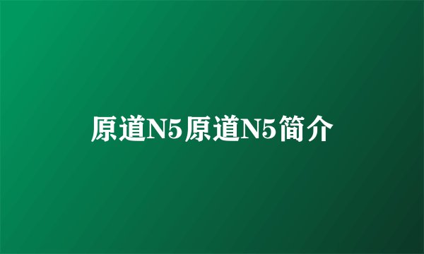 原道N5原道N5简介