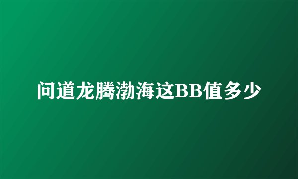 问道龙腾渤海这BB值多少