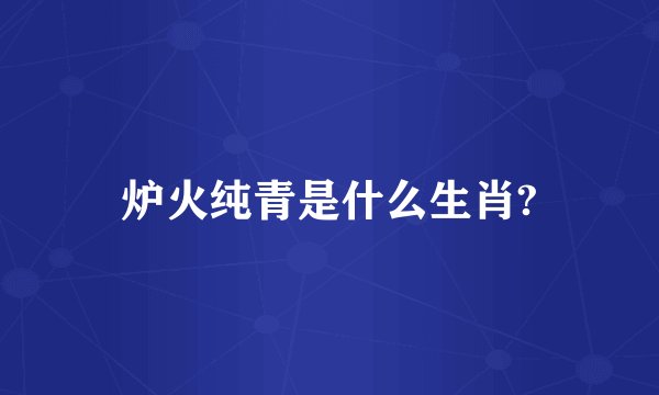 炉火纯青是什么生肖?