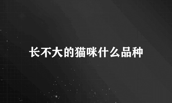 长不大的猫咪什么品种