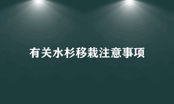 有关水杉移栽注意事项