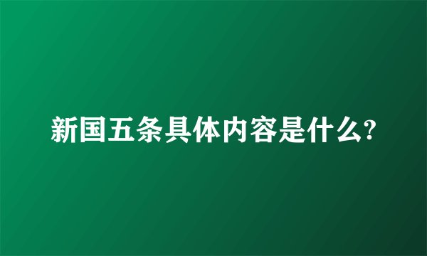 新国五条具体内容是什么?