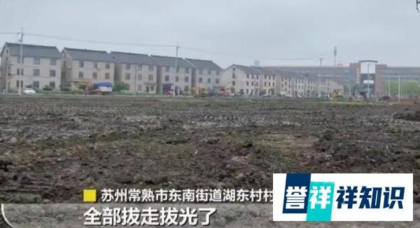 耗资千万元建成公园使用不到五个月就拆了?村民:他们真的是有钱了
