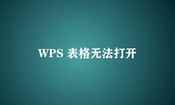 WPS 表格无法打开
