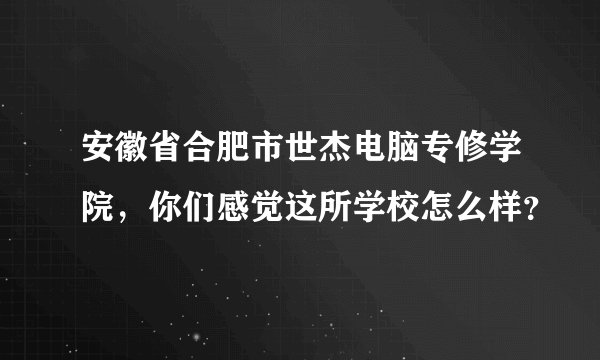 安徽省合肥市世杰电脑专修学院，你们感觉这所学校怎么样？